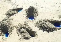 Síndrome do bebê azul: por que crianças devem evitar praia de Paripe imagem