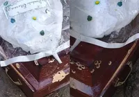 Suspeito de ataque a caixão em cemitério morre em confronto com a PM