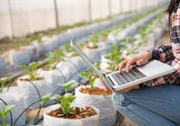 Tecnologia a serviço do desenvolvimento impulsiona o agronegócio imagem