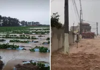 Temporal alaga plantação de melão e inunda casas na Bahia