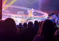 Tigre invade plateia e causa pânico em circo imagem