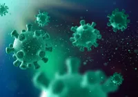 Três vírus podem desencadear novas crises em 2026; saiba quais imagem
