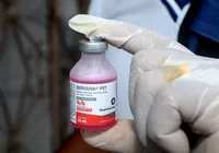 Vacinação antirrábica é realizada em bairros de Salvador; confira cronograma