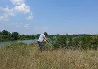 Vala comum revela massacre de mulheres e meninas há quase 3 mil anos