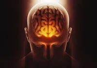 Verme parasita de cobra é encontrado em cérebro de mulher