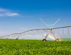 Guerra no Oriente Médio: frete da soja sobe 21% na Bahia e ameaça colheita - Imagem