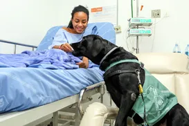 Animais estão liberados para visitar tutores em hospitais de Salvador - Imagem