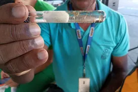 Bahia cria regras para acesso a imóveis no combate à dengue, zika e chikungunya - Imagem