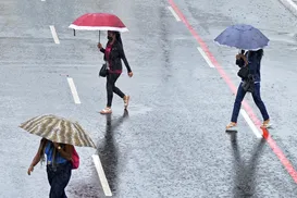 Bahia entra em alerta para chuvas e ventos fortes; veja áreas atingidas - Imagem