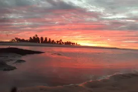 Braço humano em decomposição é encontrado na areia de praia turística - Imagem