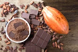 Cadeia cacau–chocolate–floresta. Quem está pagando a conta? - Imagem