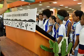 Caminho próprio - Imagem