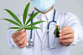 Cannabis medicinal tem alta procura por brasileiros; saiba o motivo - Imagem