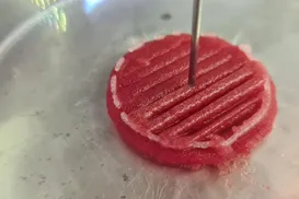 Carne nova no pedaço? Proteína de laboratório cresce e mira mercado na Bahia - Imagem