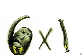 Charge do dia 25/02/2026 - Imagem