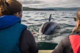Cidade brasileira chama atenção por pesca feita com ajuda de botos - Imagem