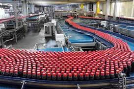 Coca-Cola abre vagas para capacitação de jovens em vulnerabilidade - Imagem