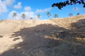 Comunidade denuncia crimes ambientais e avanço de máquinas - Imagem