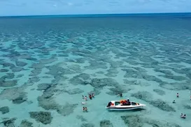 Conheça vilarejo no Nordeste conhecido como o “Caribe brasileiro” - Imagem