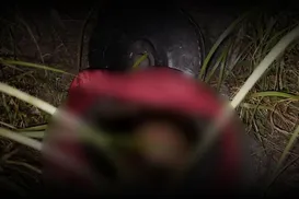 Crânio humano é encontrado dentro de panela de pressão em área de mata - Imagem