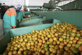 Crise da laranja acende alerta e é debatida em audiência pública na Alba - Imagem