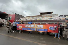 Cultura do Grau: evento em Castro Alves arrecada toneladas de comida para doação - Imagem