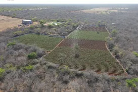 Esquema de tráfico entre Bahia e Rio é alvo de megaoperação em seis estados - Imagem