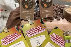 Estudantes baianos criam chocolates para pessoas com diabetes tipo 2 - Imagem