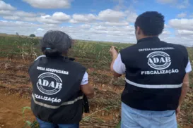 Governo da Bahia reabre concurso com 200 vagas; veja como se inscrever - Imagem