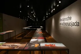 Gratuito! Exposição internacional chega a Salvador com obras inéditas - Imagem