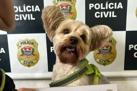 Homem é preso após tentar furtar cachorro de ex-mulher - Imagem