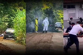 Homem morre após ser atacado por enxame de abelhas - Imagem