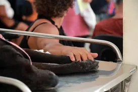 Hospital Veterinário público de Salvador é referência - Imagem