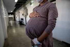 IA no WhatsApp: tecnologia baiana ajuda mães solo a gerir finanças em Salvador - Imagem