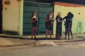 Idoso é atacado por pit bull e tutor mata cão a facadas - Imagem