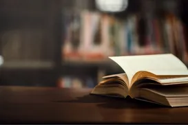 Os livros e a juventude - Imagem