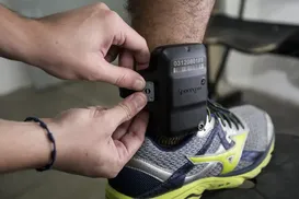 Medida de Lula obriga uso de tornozeleira por agressão às mulheres - Imagem