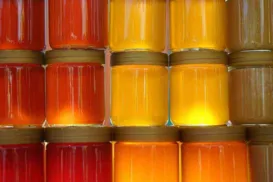 Mel falso ou puro? Saiba se você está sendo enganado - Imagem