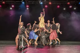 Musical foge do óbvio e revela as múltiplas faces de Elza Soares - Imagem