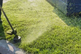 Nova regra pode multar quem cortar grama entre 12h e 16h; entenda - Imagem
