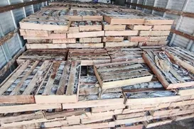 Nove toneladas de peixe são apreendidas em operação na Bahia - Imagem