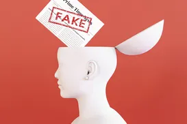 O combate diário à mentira - Imagem