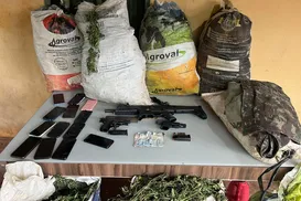 Operação erradica 200 mil pés de maconha e apreende três toneladas na Bahia - Imagem