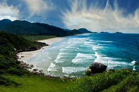 Paraíso escondido no Brasil permite nado com botos raros - Imagem