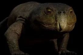 Pesquisadores descobrem nova espécie de réptil de 230 milhões de anos - Imagem