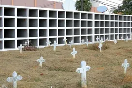 Prefeitura de Salvador oferece cremação gratuita; saiba como conseguir - Imagem