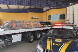 PRF apreende quase 2 toneladas de maconha em rodovia da Bahia - Imagem