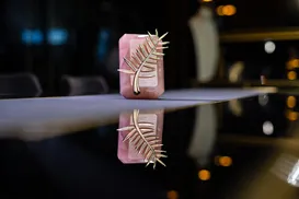 Sem Brasil: Cannes 2026 ignora filmes da América do Sul em seleção - Imagem