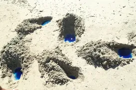 Síndrome do bebê azul: por que crianças devem evitar praia de Paripe - Imagem