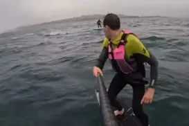 Surfista é perseguido por tubarão por mais de 3 km - Imagem